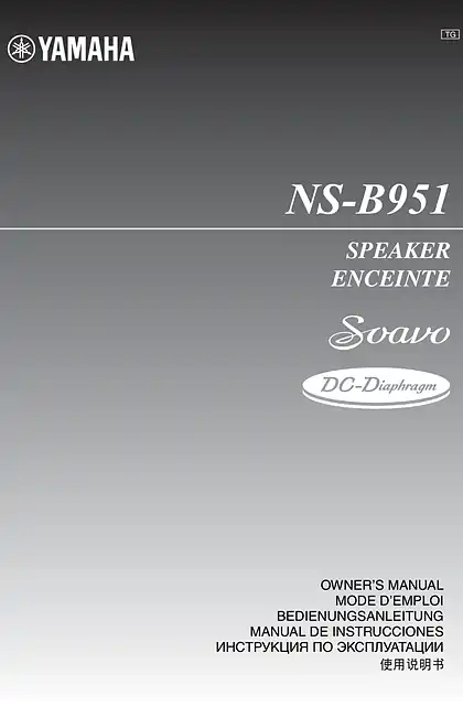 yamaha雅马哈NS-B951 使用说明书